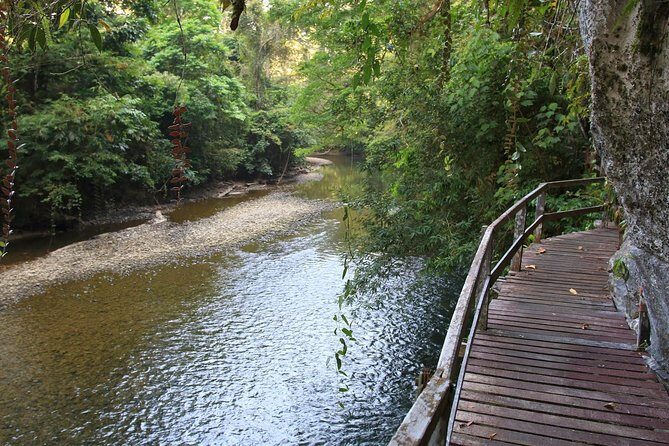 3 Days 2 Nights Unesco World Heritage Mulu 4 Showcaves - Exploring Gunung Mulu: What to Expect