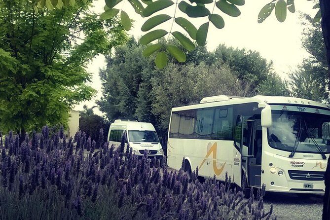 3 Days 3 Full Excursions Pack - Final Thoughts on the 3 Days 3 Full Excursions Pack