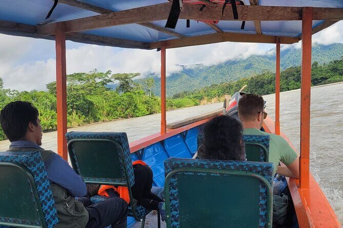 3 Days Amazon Jungle Tour in Manu Peru - The Full Breakdown: An In-Depth Look at the 3-Day Amazon Jungle Tour in Manu