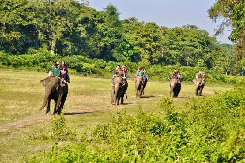 3 Days Chitwan Jungle Tour with Meals - Kathmandu & Pokhara - Practical Tips for Your Trip