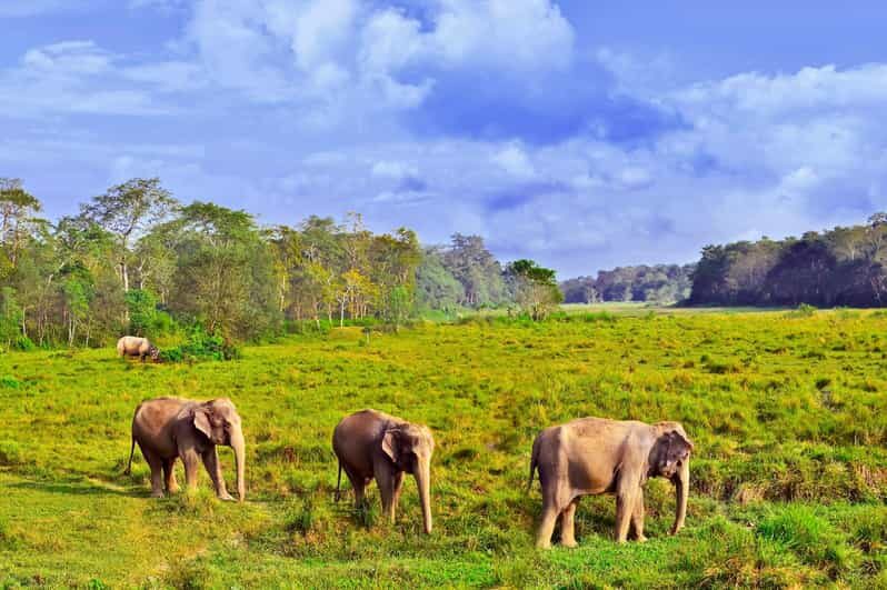 3 Days Chitwan Jungle Tour with Meals - Kathmandu & Pokhara - FAQ