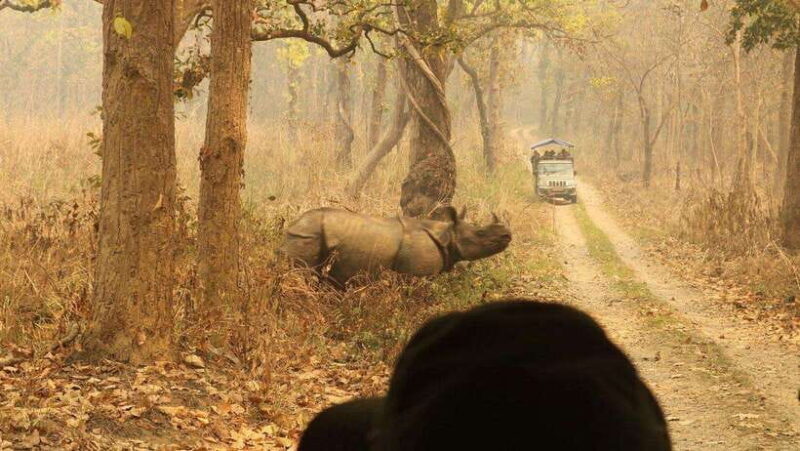 3 Days Chitwan Safari - Exploring the Full Experience