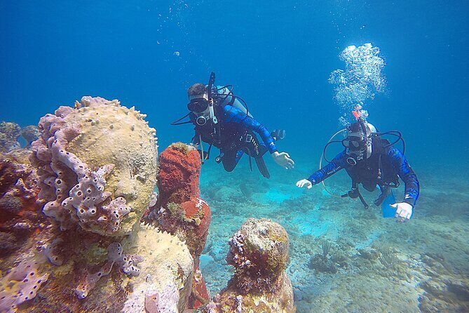 3 Days Class: SDI Open Water Diver Certification in Cancun - The Sum Up: Is This the Right Dive Certification for You?