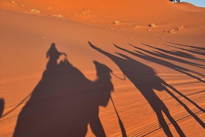 3 Days Desert Tour From Marrakech To Merzouga Dunes & Camel Trek - The Sum Up: Is This Tour Right for You?