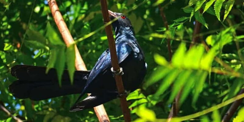 3 Days - Different discovery private wildlife tour - Who Is This Tour Best Suited For?