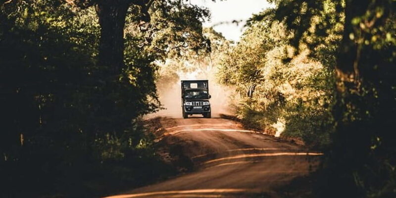 3 Days - Different discovery private wildlife tour - Final Thoughts