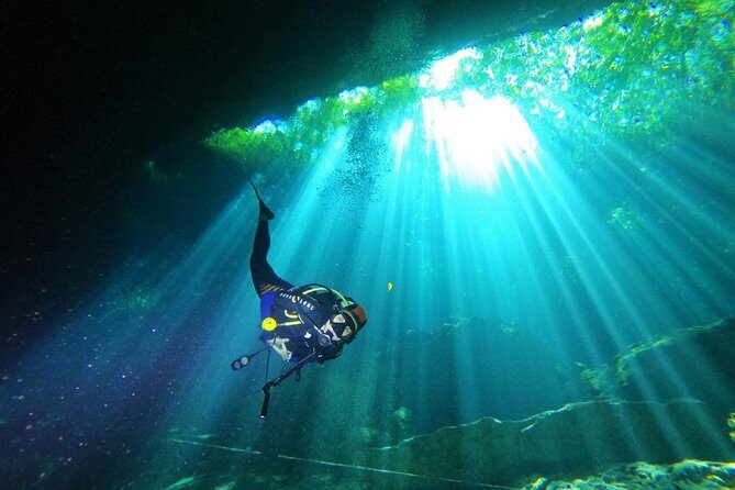 3 days diving in cenotes for certified divers - In-Depth Review of the 3-Day Cenote Dive Tour in Playa del Carmen