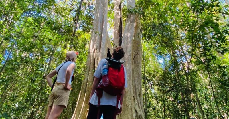 3 days Exploring Cat Tien national park from Dalat - An In-Depth Look at the 3-Day Itinerary