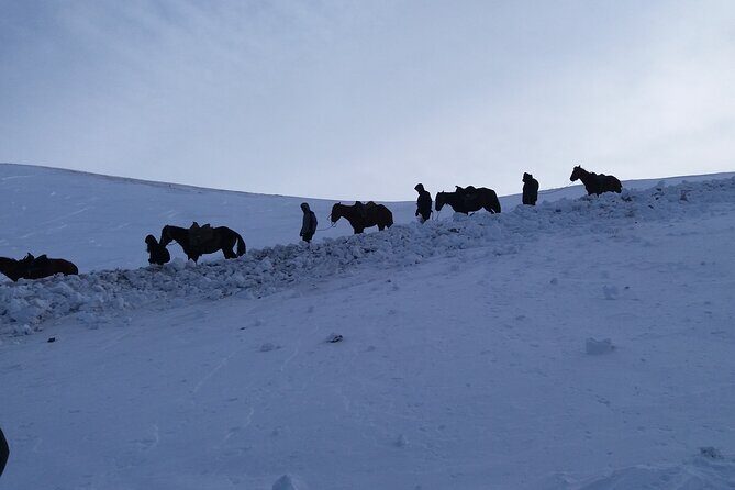 3 days horse back riding to Song-Kul lake whole year round - Authenticity and Guides: The Heart of the Experience