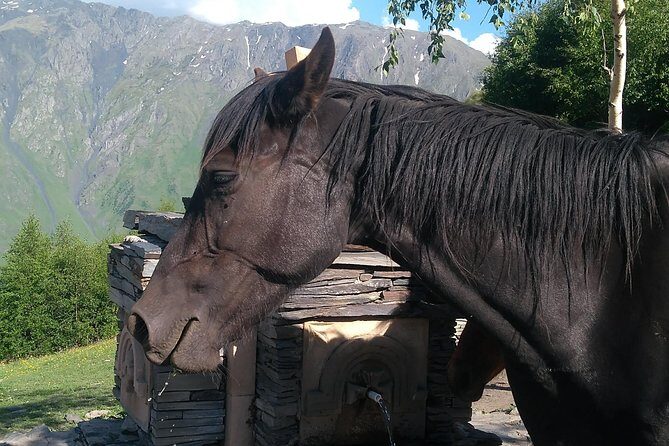 3 Days in Georgia: Private Tour with Wine, Mountains & Culture - Who Should Consider This Tour?