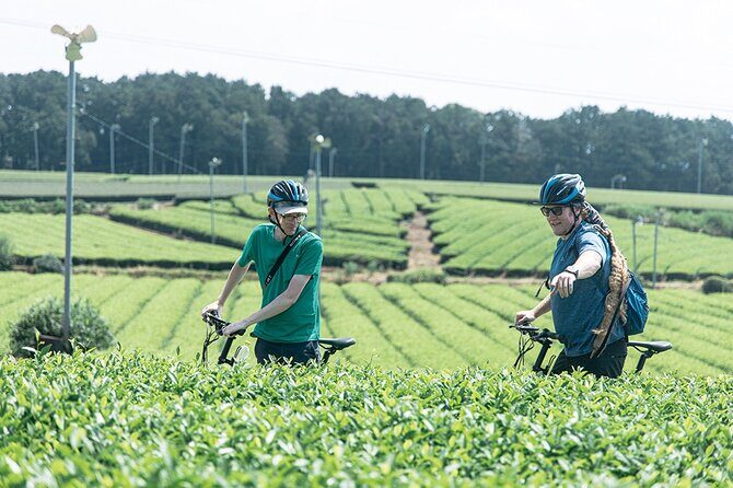 3 Days Journey through the home and history of Shochu - An In-Depth Look at the Kuma 3-Day Tour