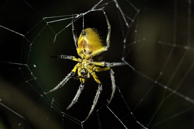 3 Days Manu Park Tour with Accommodation - Who Will Love This Tour?