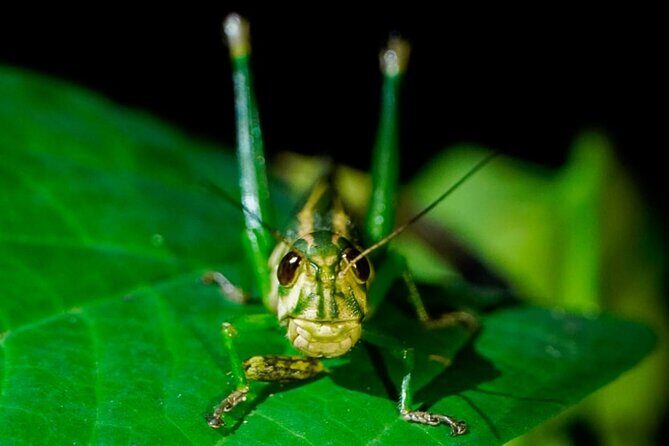 3 Days Manu Park Tour with Accommodation - Frequently Asked Questions