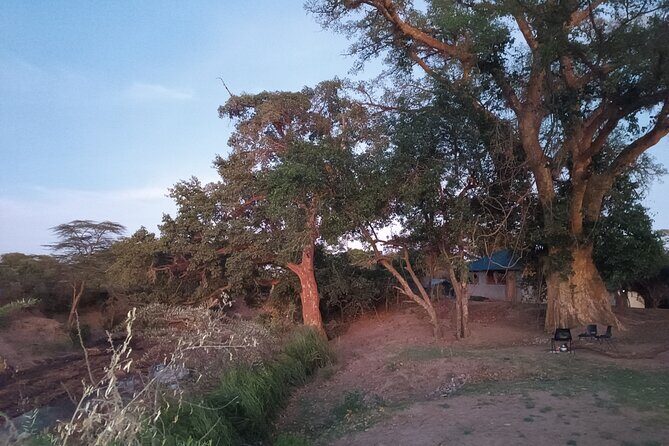 3 Days Masai Mara Camping Safari - An In-Depth Look at the 3-Day Masai Mara Safari