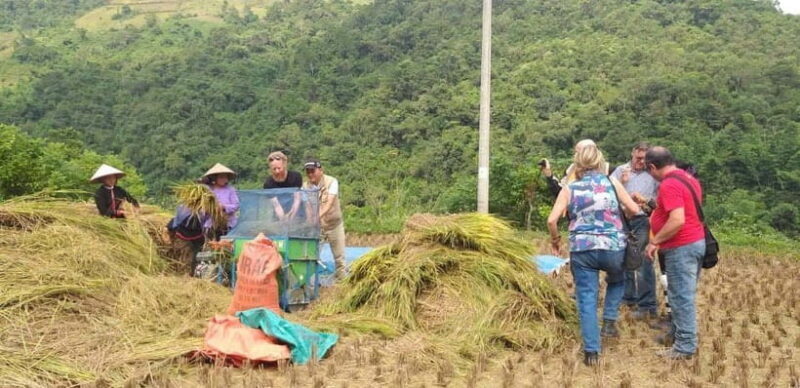 3-Days Motorbike Tour: Dalat to Nha Trang/Central Highlands - Final Thoughts: Is This Tour for You?