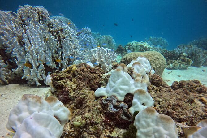 3 Days Phuket Open Water Diver Course & Scuba with License Guide - Key Points