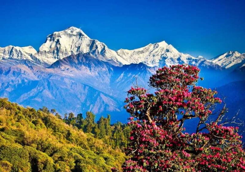 3 Days Pokhara Tour from Kathmandu - Frequently Asked Questions (FAQs)