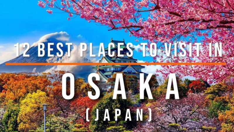 3 Days Private Osaka Kyoto and Nara Tour with English Driver - Who Would Love This Tour?