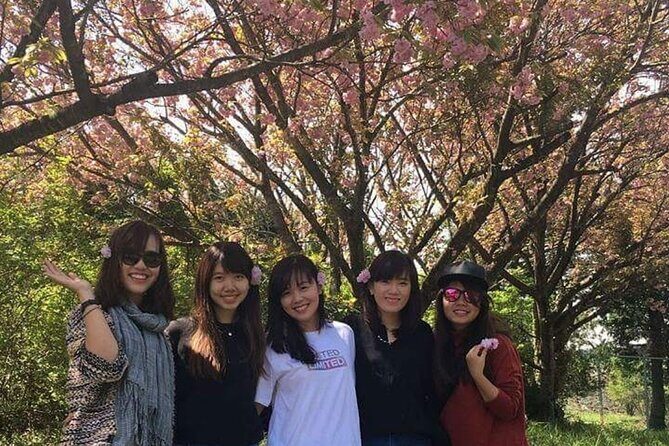 3 days Private Taxi Tour in Jeju Island - Considerations