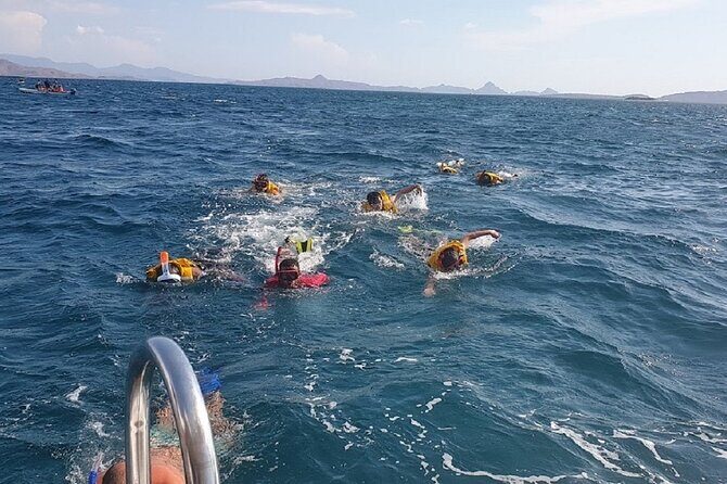 3-Days Sailing Komodo Island,Padar & Manta Point departure every Friday - Final Thoughts