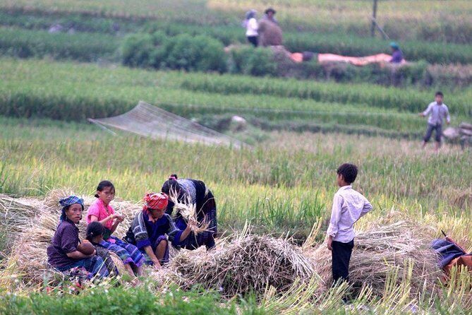 3 Days SAPA Real Experience at Local People House - FAQ