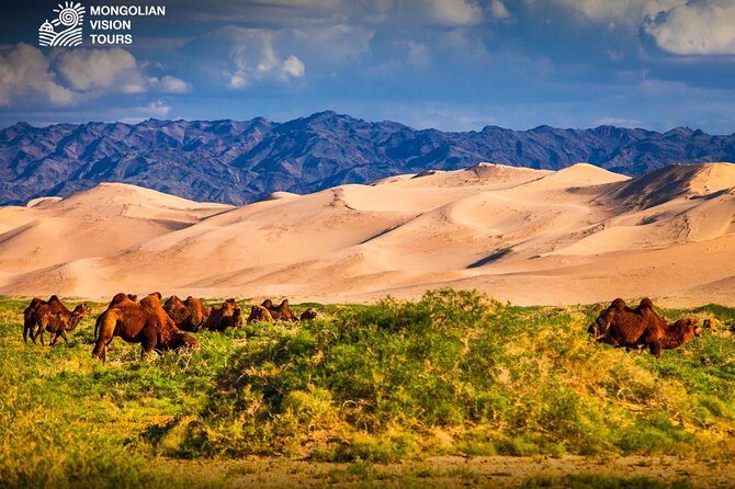 3 days Semi Gobi Desert and Chinggis Khaan Statue - The Sum Up: Why You Should Consider This Tour