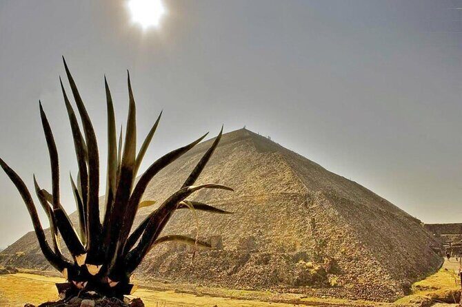 3 Days Taxco Cuernavaca Teotihuacán Guadalupe, Puebla and Cholula - Key Points