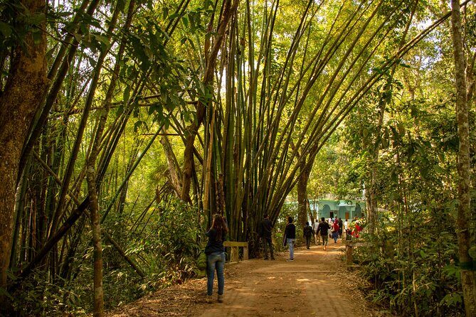 3 Days Teagarden and Rainforest Tour in Sreemangal - Who Will Love This Tour?