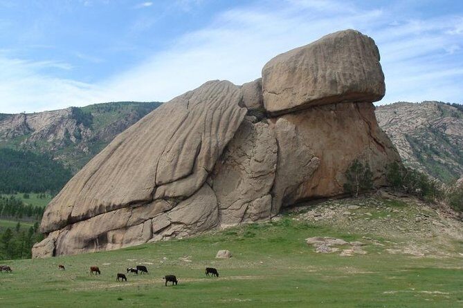3 DAYS Terelj national park and Central Mongolia - Is This Tour Right for You?