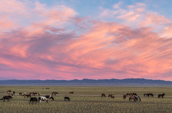 3 Days Three different natural zone and Ancient capital city - The Sum Up