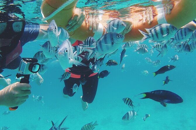 3 Days Tioman Island Package from Singapore (Private tour) - Exploring the 3-Day Tioman Island Tour: What to Expect