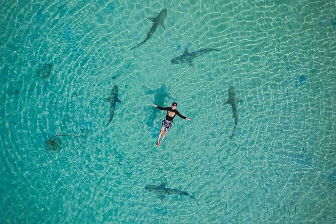 3 Days Tioman Island Package from Singapore (Private tour) - FAQ