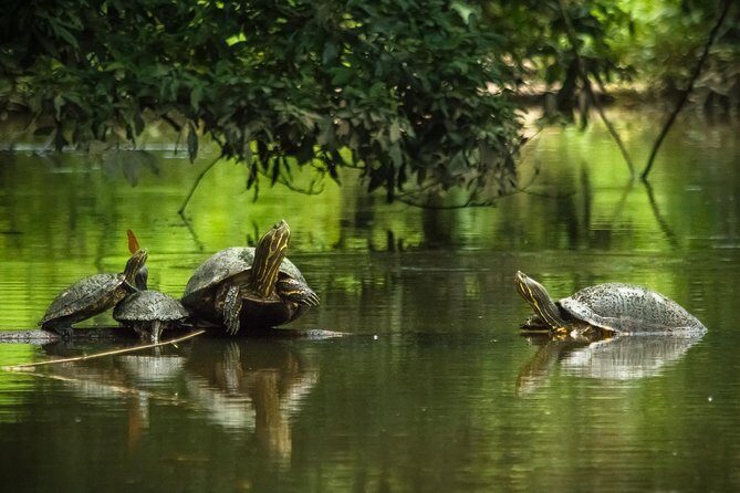 3-Days Tortuguero National Park Eco Adventure Tour - Key Points