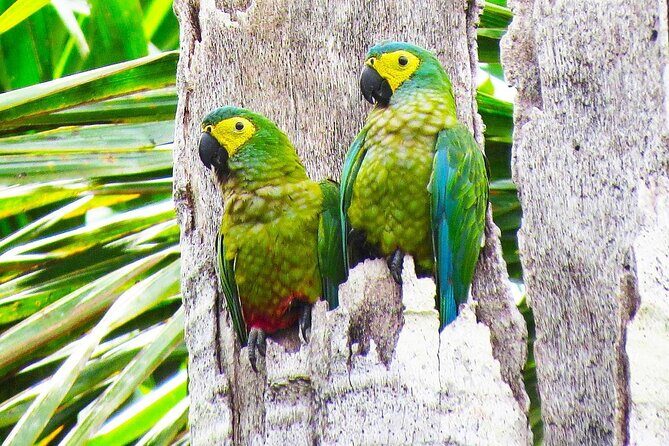 3 Days Tour in Manu Amazon - Who Should Consider This Tour?