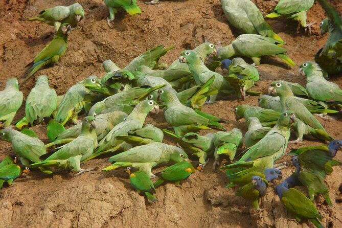 3 Days Tour in Manu Amazon - FAQ