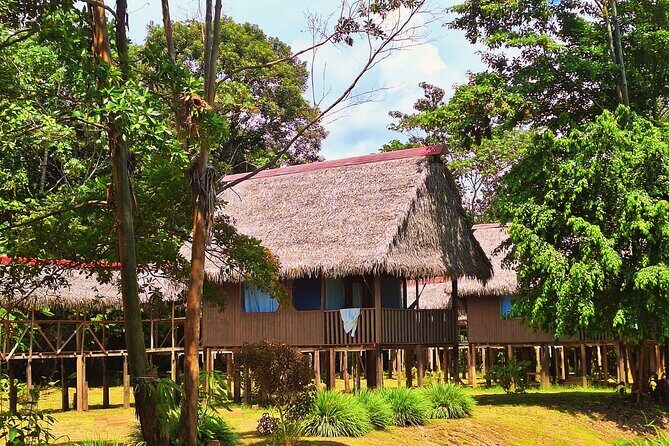 3-Days Tour in the Amazon Rainforest at Curassow Amazon Lodge - Final Thoughts