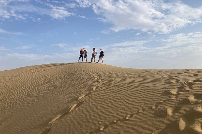 3 Days Tour in Wild Desert Safari - Practical Details and Tips