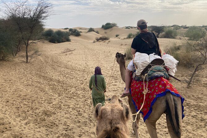 3 Days Tour in Wild Desert Safari - Frequently Asked Questions (FAQ)