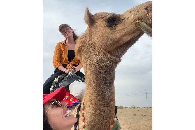 3 Days Tour in Wild Desert Safari - Final Takeaway