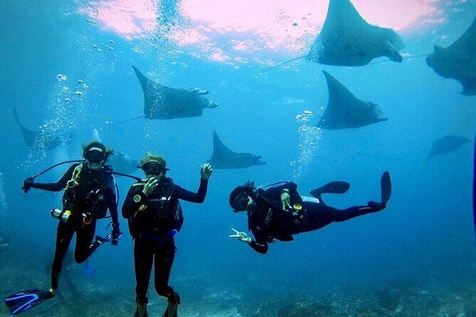 3 Epic Dives in Nusa Penida - Certified Divers' Day Trip - Discover Nusa Penidas Underwater Wonders with Bali Diving Academy