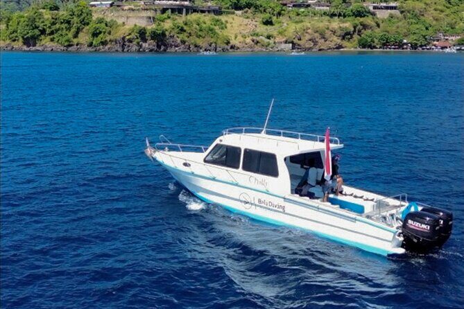 3 Epic Dives in Nusa Penida - Certified Divers' Day Trip - Key Points