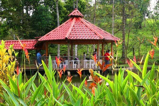 3-Hour ATV Jungle Waterfall Adventure - Key Points