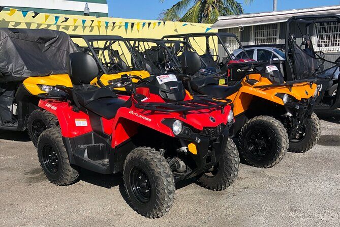 3-Hour ATV Tour of New Providence (Inclusive of water & local deserts) - Who Should Consider This Tour?