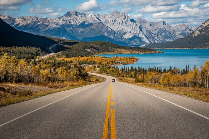 3 Hour Banff Safari Drive Evening Wildlife Viewing and Photo Tour - Who Should Book This Tour?