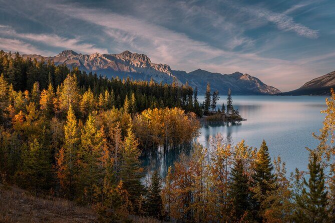 3 Hour Banff Safari Drive Evening Wildlife Viewing and Photo Tour - The Sum Up: Why This Wildlife Drive Is a Good Choice