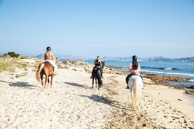 3-Hour Beach Horse Riding to Discover the Beauty of Alcudia Bay - FAQs