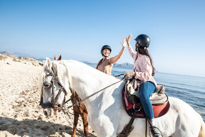 3-Hour Beach Horse Riding to Discover the Beauty of Alcudia Bay - Final Thoughts