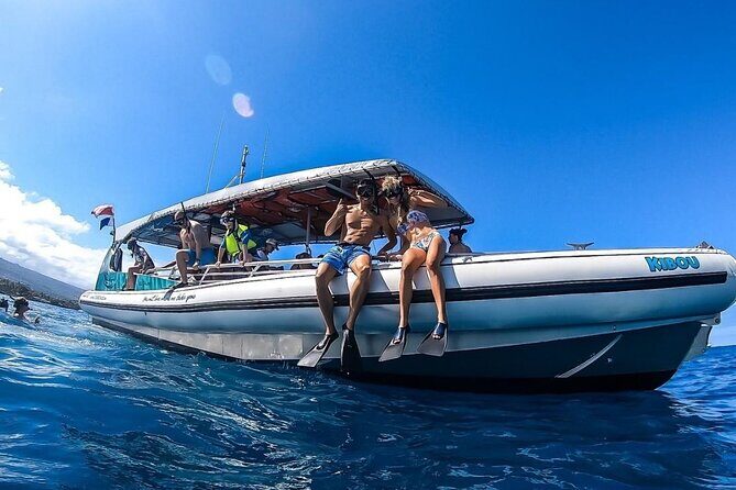 3 Hour Big Island Dolphin Watch Boat Tour, Snorkeling & BBQ Lunch - Frequently Asked Questions