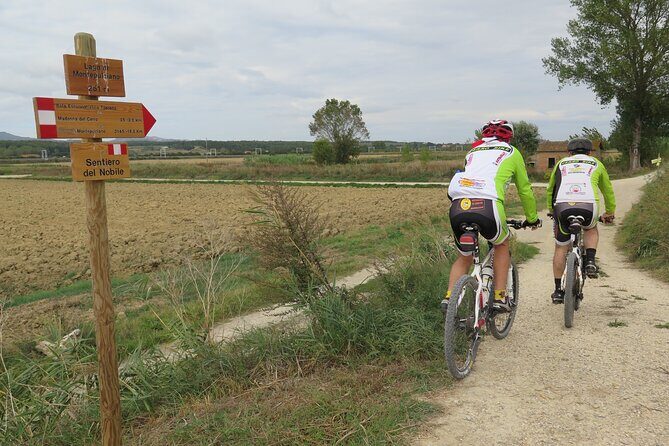 3-Hour Bike Tour and Wine in Tuscany: Nobile's Path - Key Points