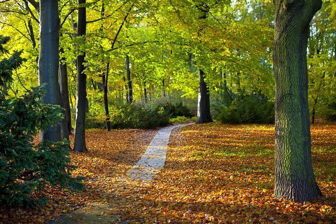 3-Hour Bike Tour of Tiergarten and Berlin's Hidden Places - A Closer Look at What You’ll Experience